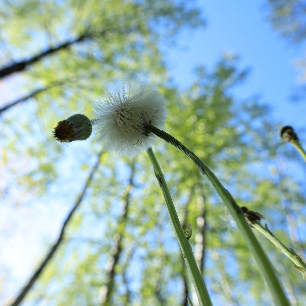 Photograph by Ольга Лукина