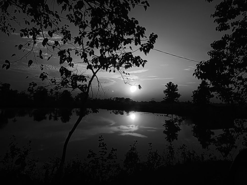 Photograph by MANOJ GOGOI