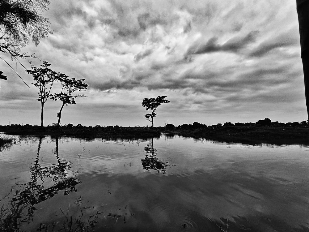 Photograph by MANOJ GOGOI
