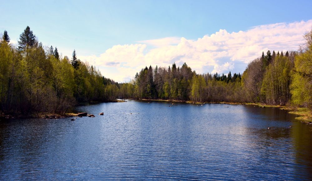 Фотография автора Юрий Рудый