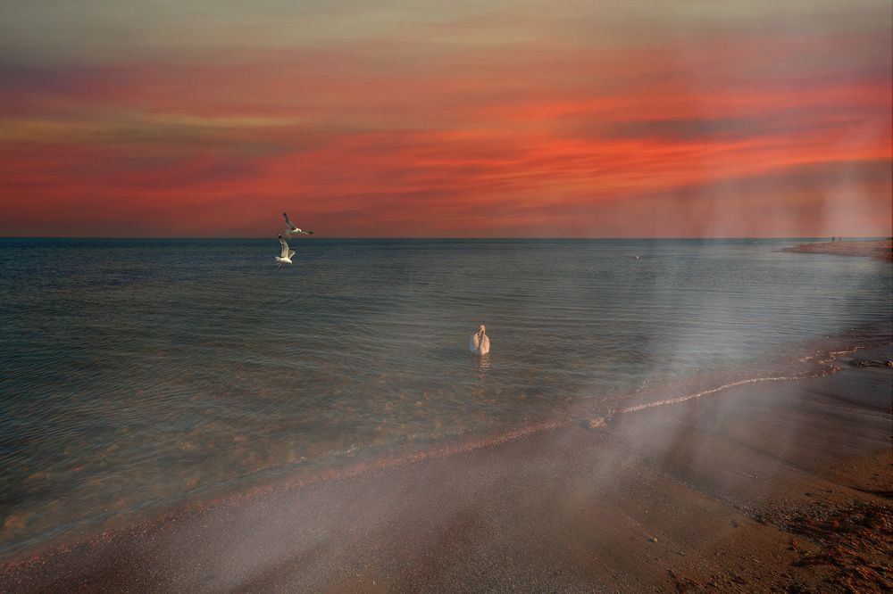 Photograph by Владимир Гамаюнов