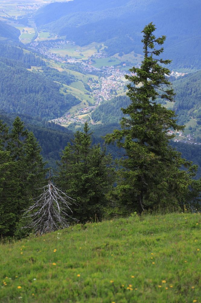 Photograph by Tatyana Pomogaeva