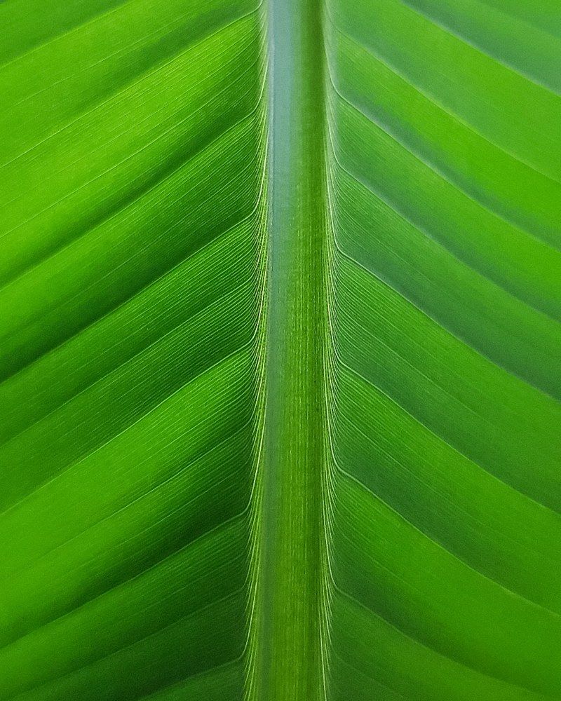 Photograph by Наталья Ким