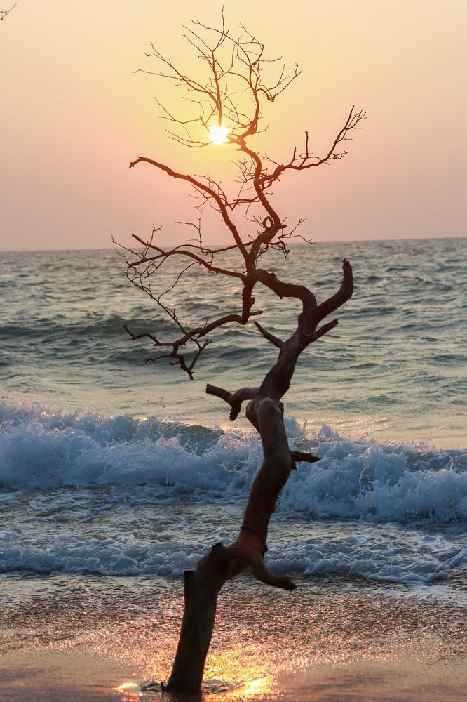 Photograph by Gihan Viraj Thilakarathna