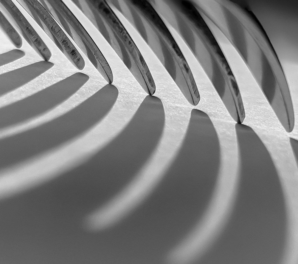 Photograph by Наталья Ким