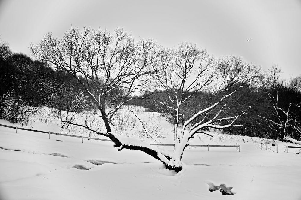 Photograph by Наталья Ивочкина