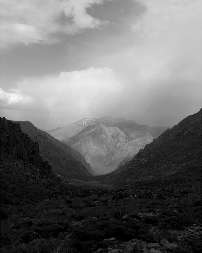 Фотография автора mohammadreza izadi