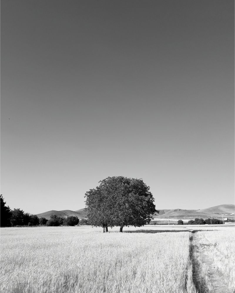 Фотография автора mohammadreza izadi