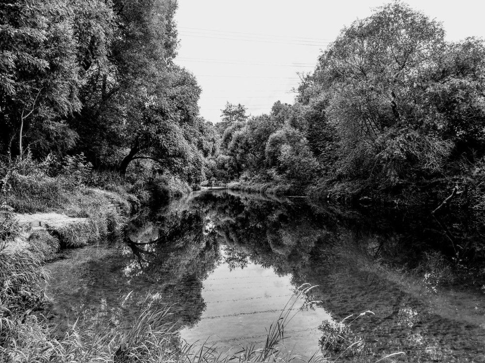 Photograph by Elena Lukashina