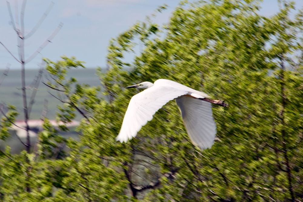 Фотография автора Юрий Рудый
