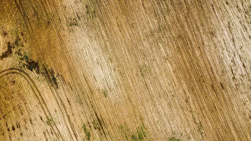 Photograph by Евгений Козырев