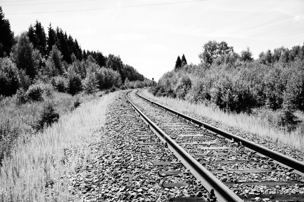 Photograph by Дарья Сергеева