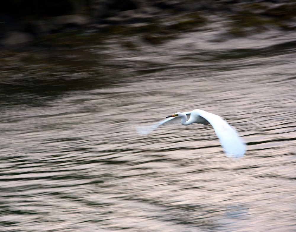Фотография автора Юрий Рудый