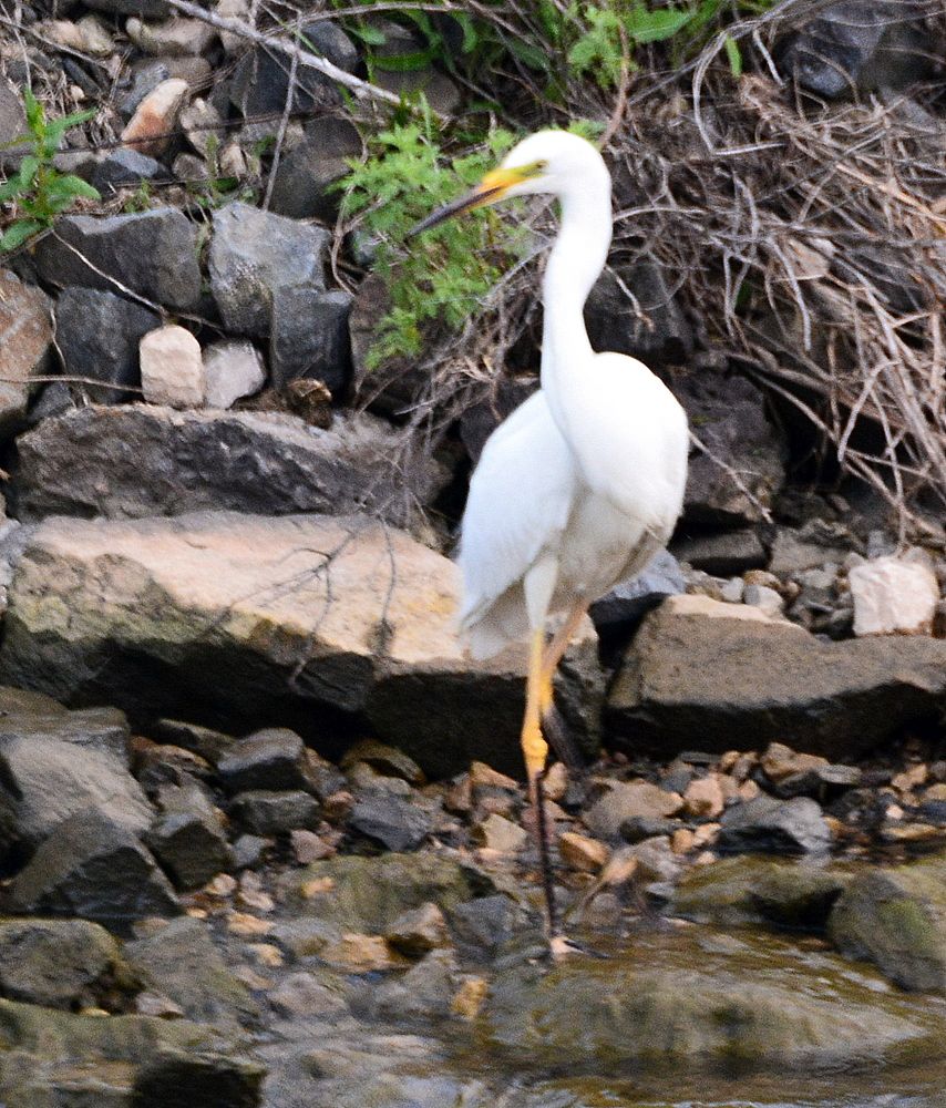 Фотография автора Юрий Рудый