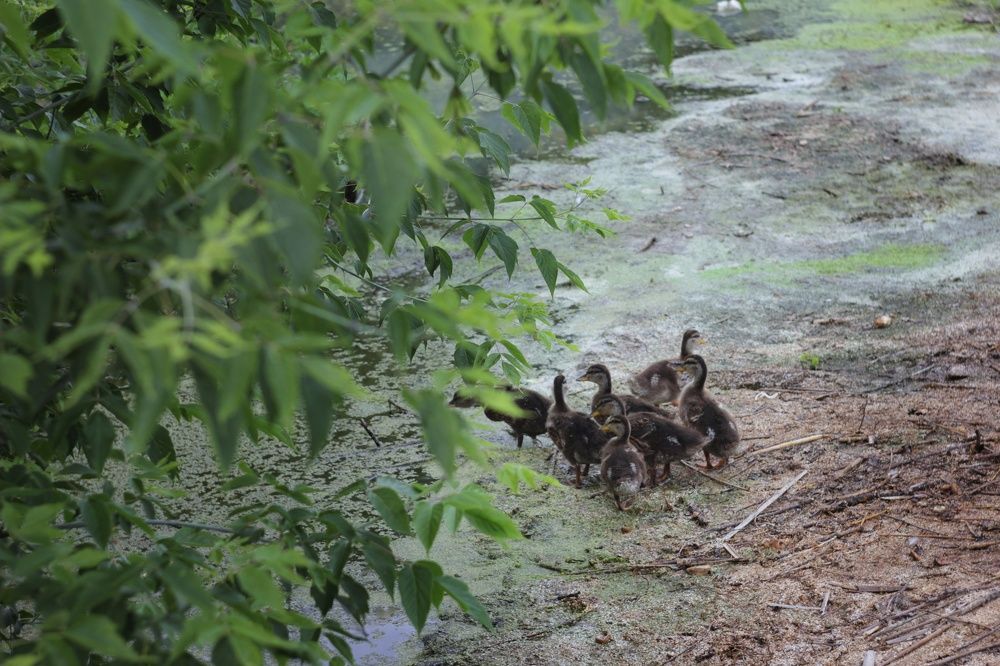 Photograph by Татьяна Аршинова