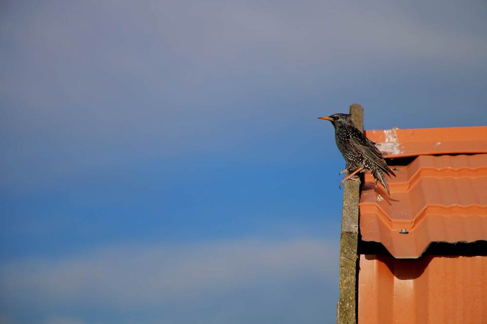 Photograph by Hayk Badalyan