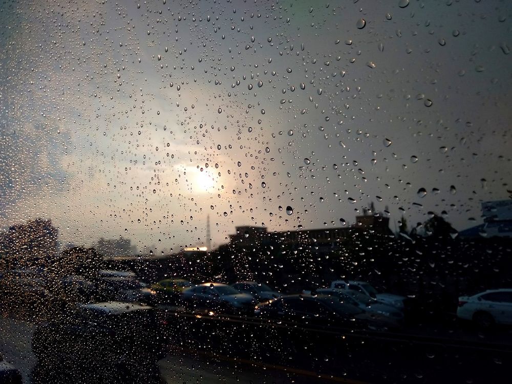 Photo #7702433