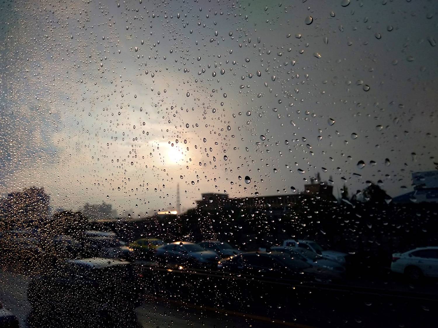 Photo #7702433