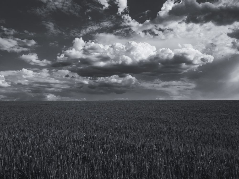 Photograph by Дмитрий Головко