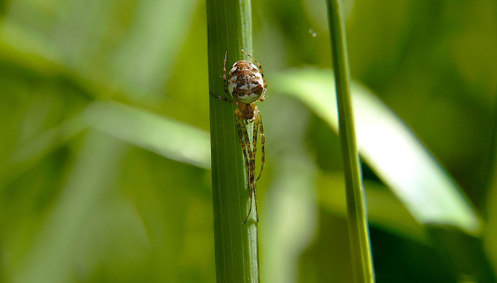 Photograph by Алексей Чернов
