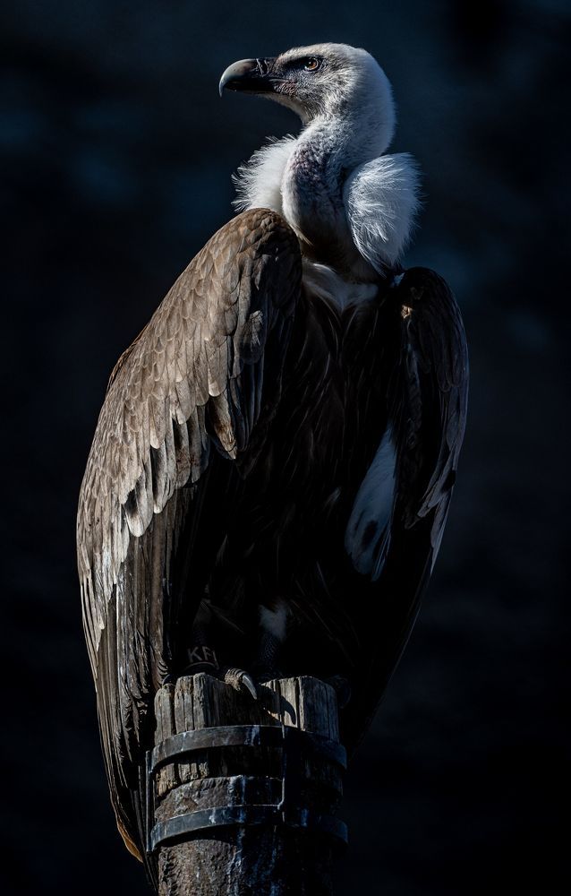 Photograph by Sergey Puponin