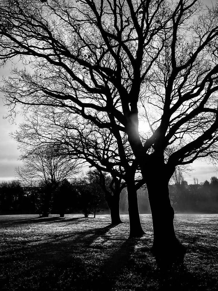 Photograph by John Blake