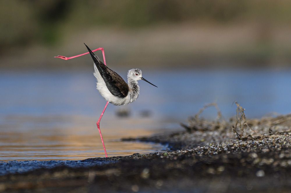 Photograph by Nikolay Hristov