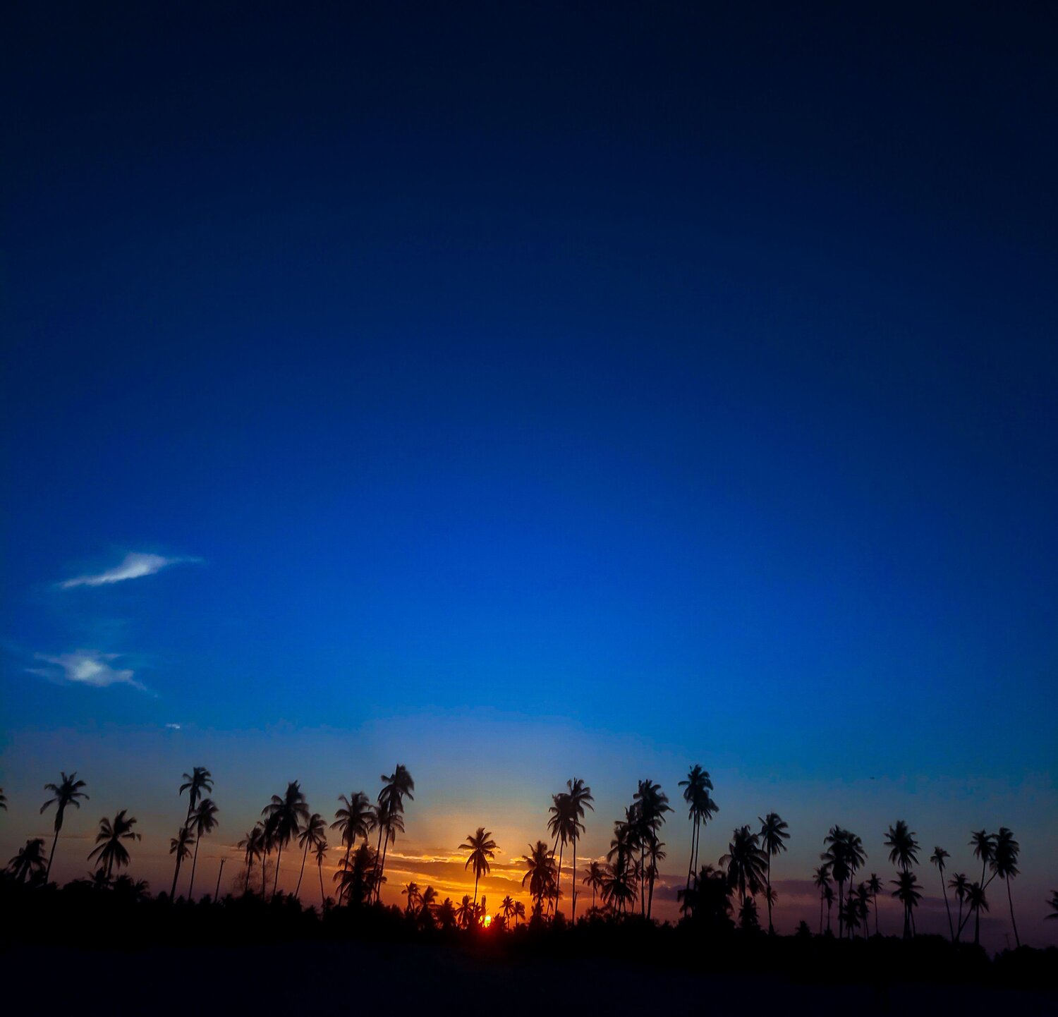 Sunset Lovers