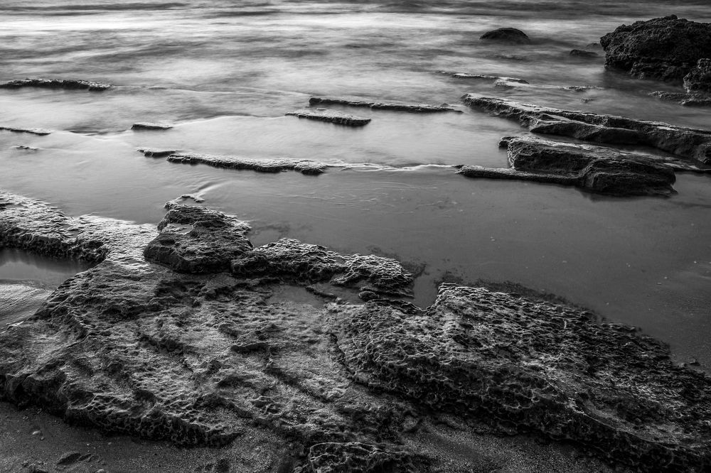 Photograph by IREN TOVMA