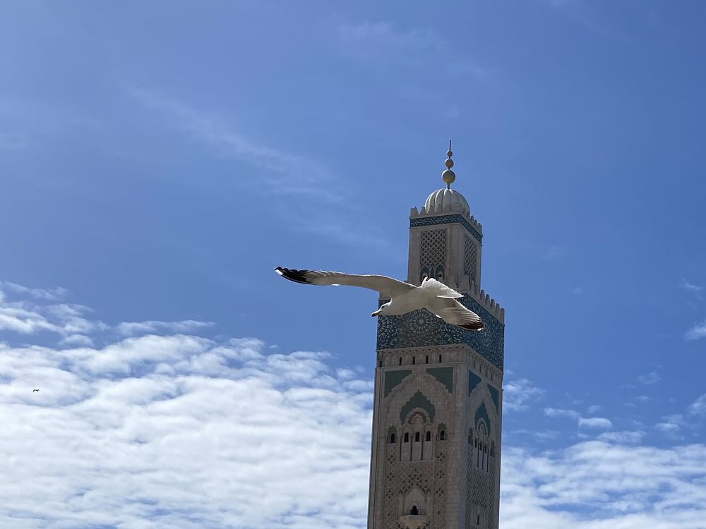 Photograph by Carine Czerwonogora