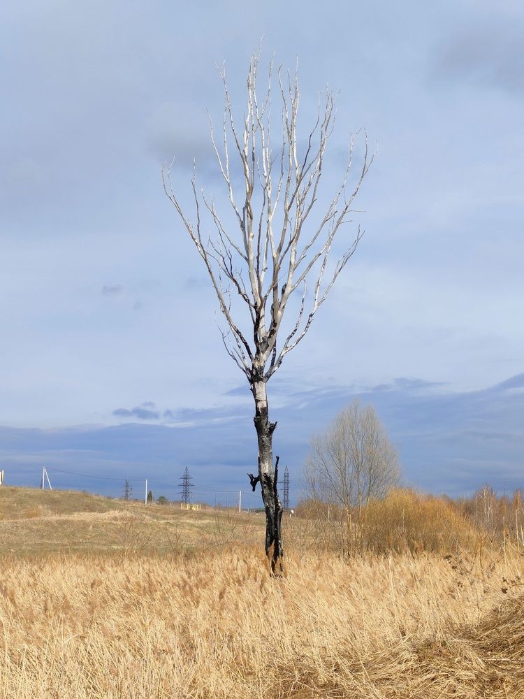 Photograph by Екатерина Серова