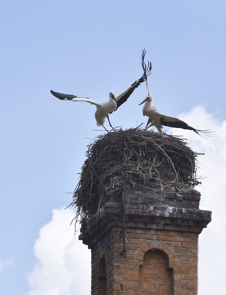 Photograph by Александра Иванова