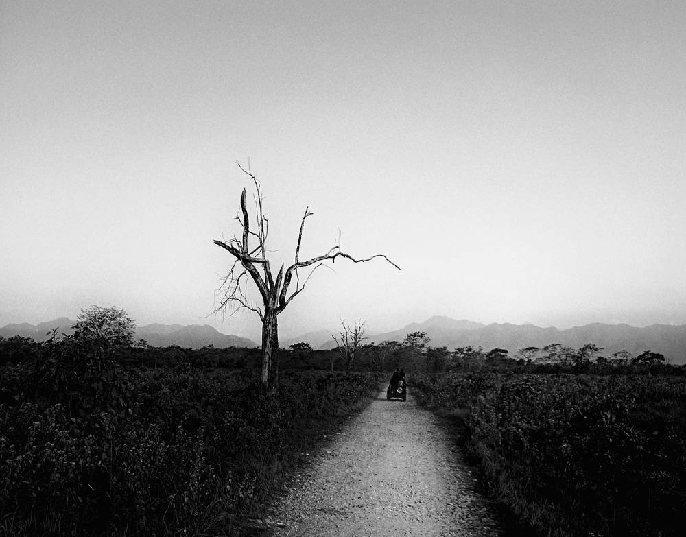 Photograph by Dikshita Das