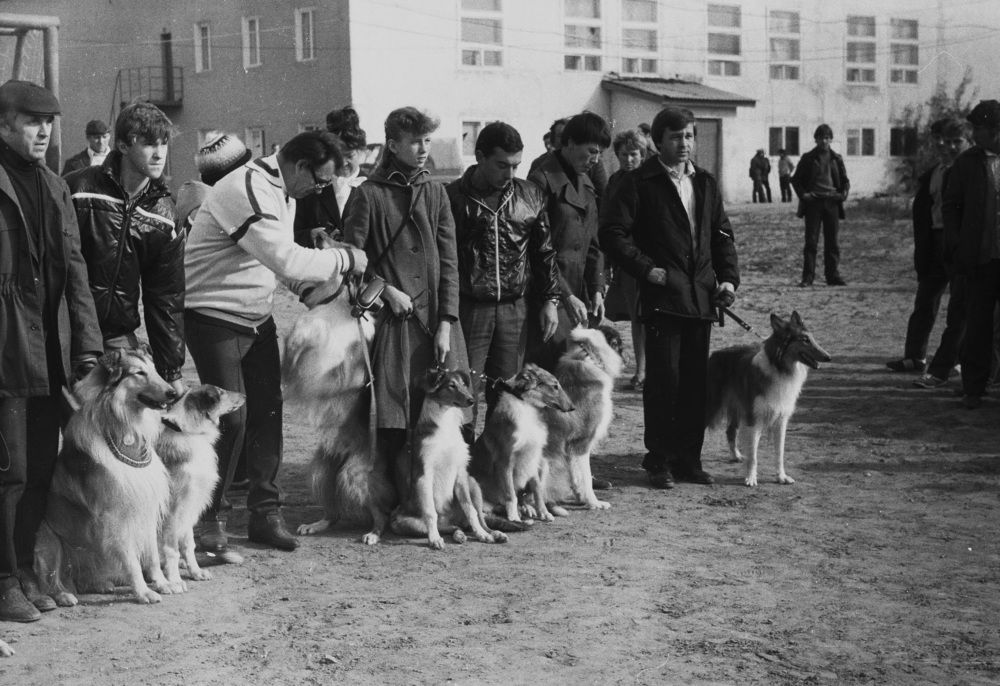 Кто краше...!