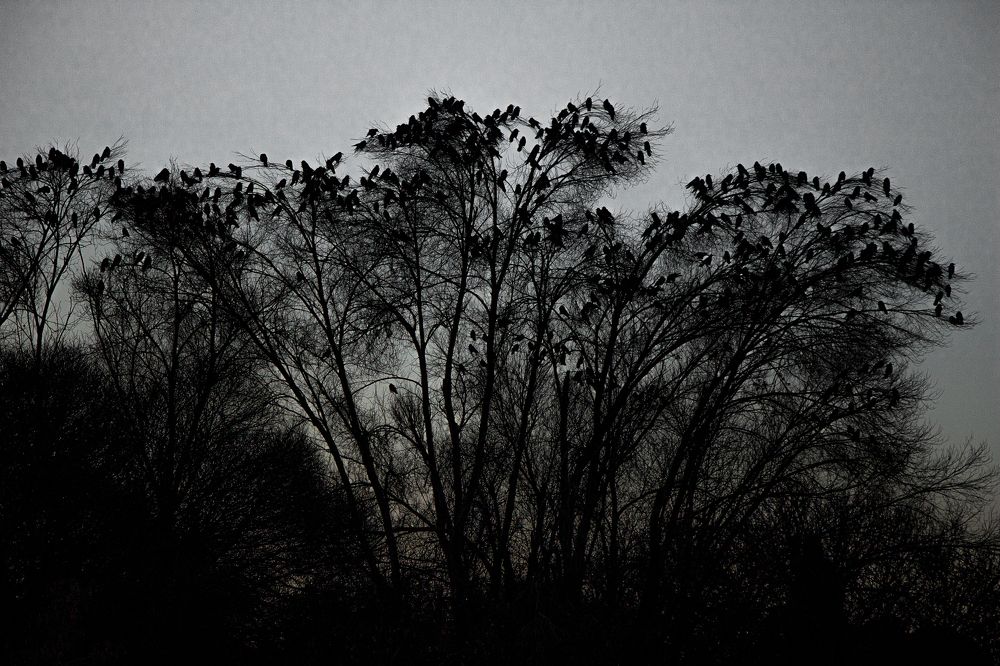 Photograph by Pouria pouriarezaie