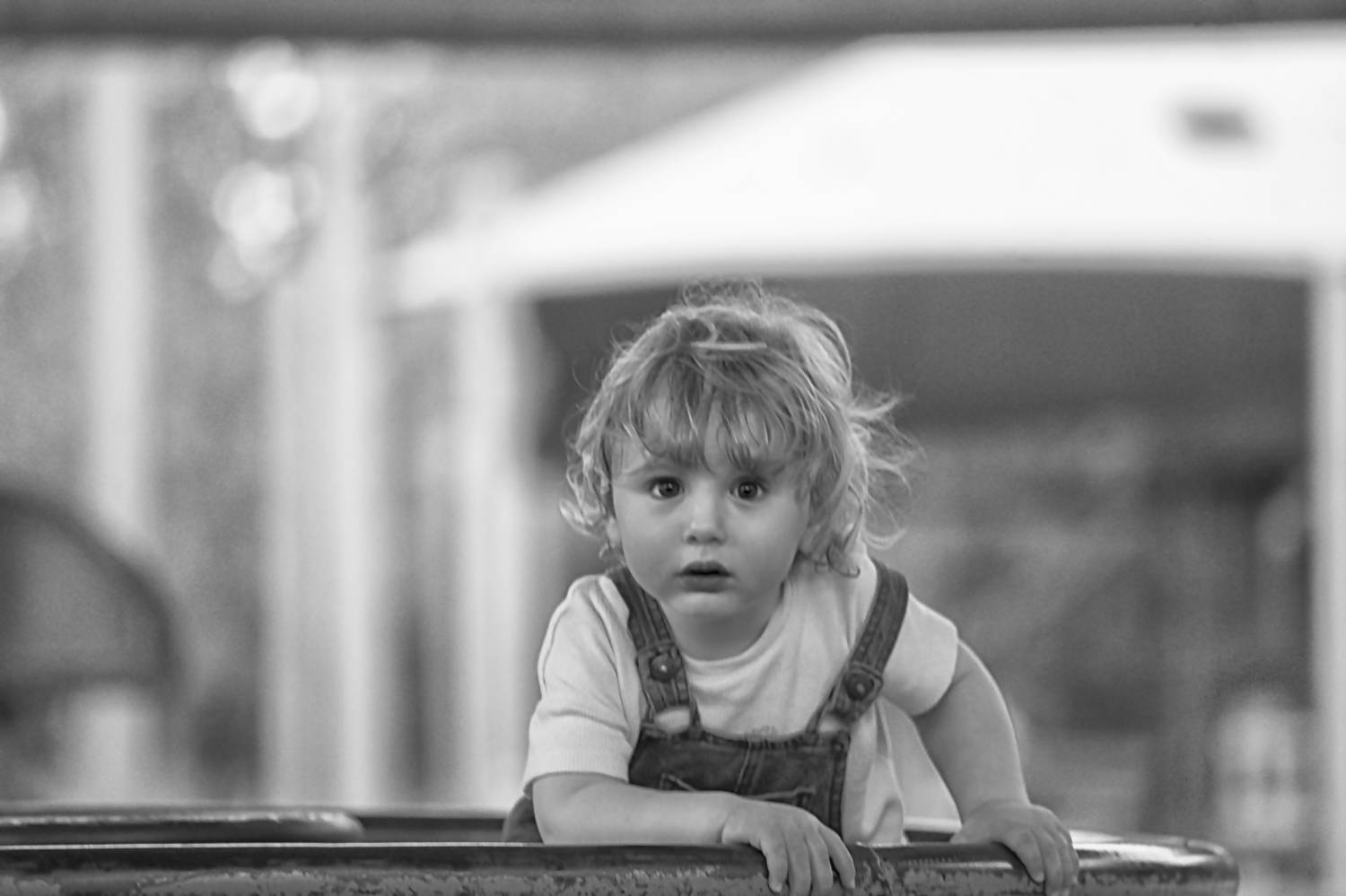 Photo #7702953
