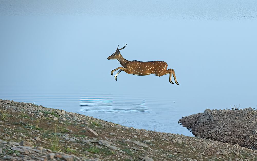 Photograph by Jitender Govindani