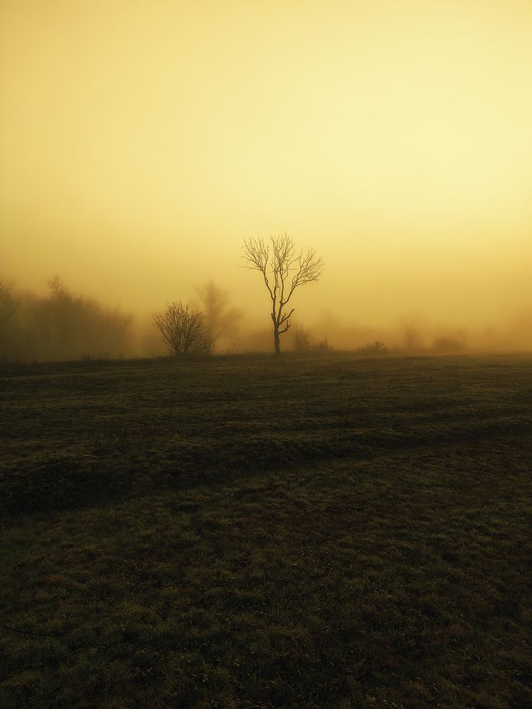 Photograph by Буданова Мария