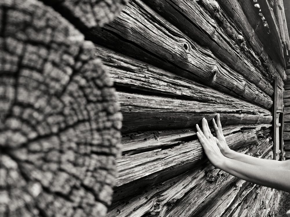 Photograph by Любовь Тарасюк