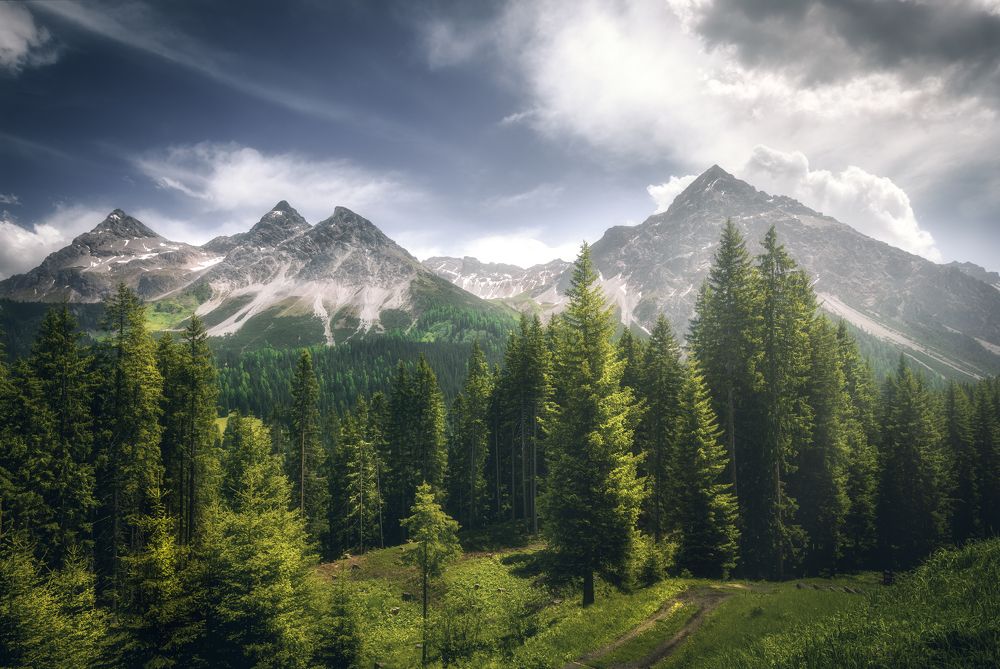 Photograph by Massimiliano Coniglio