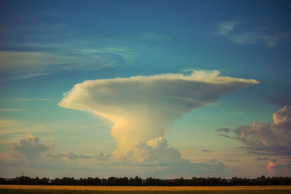 Photograph by Оксана