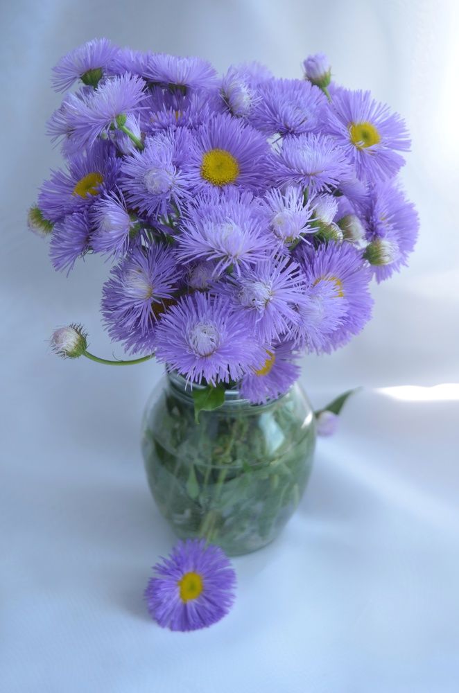 Фотография автора Евгения Илина