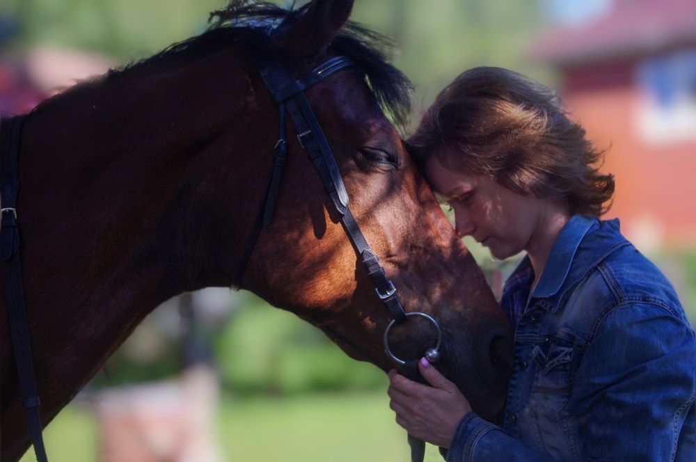 Photograph by Shafieva Irina