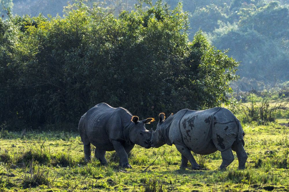 Photograph by Rajib Prodhan