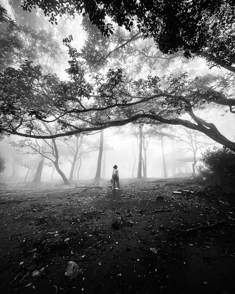 Photograph by Arita Halder