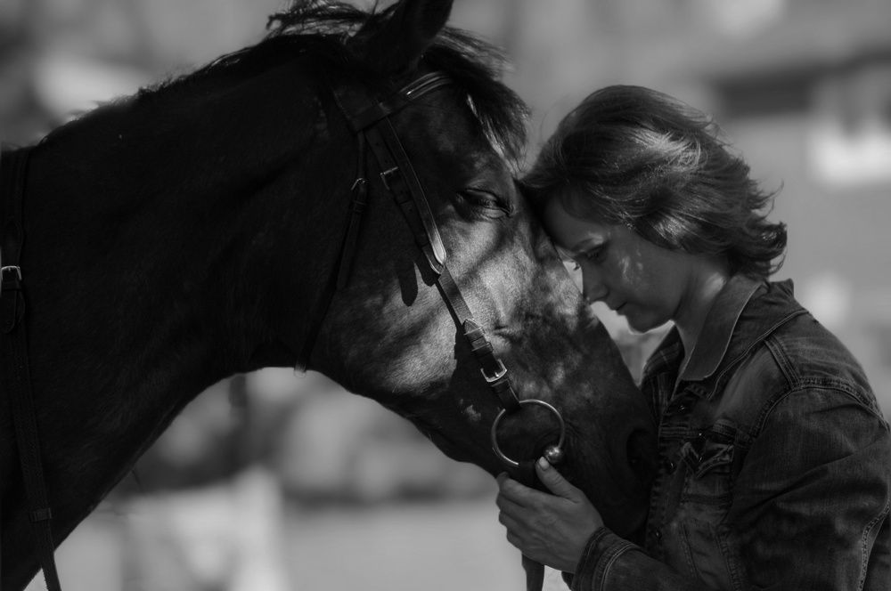 Photograph by Shafieva Irina