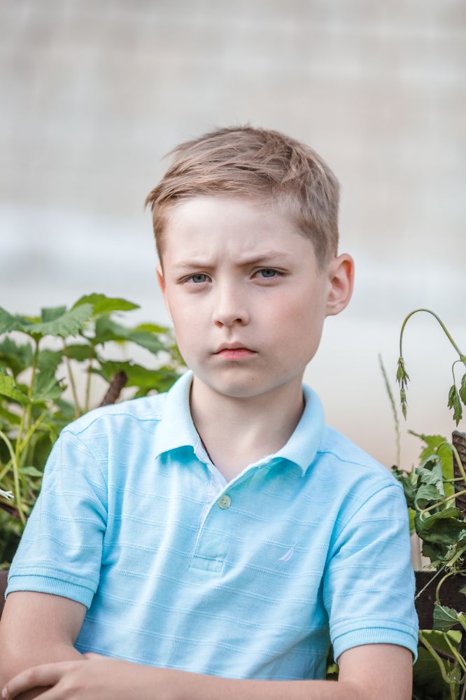 Царевич Несмеян