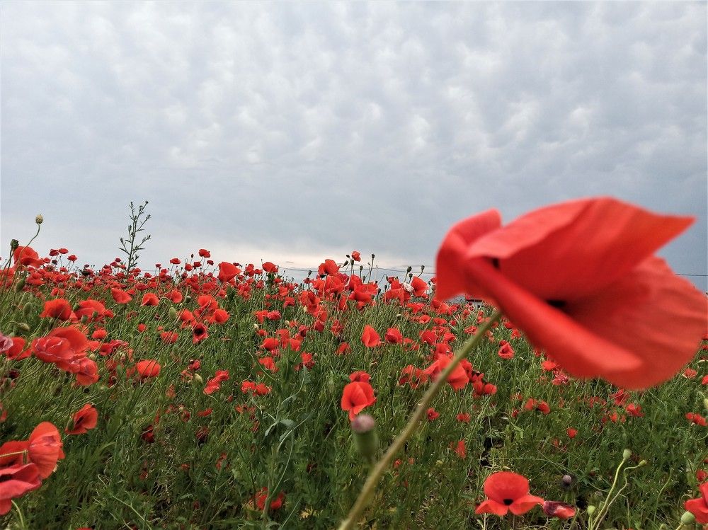 Photograph by Станислав Третьяков