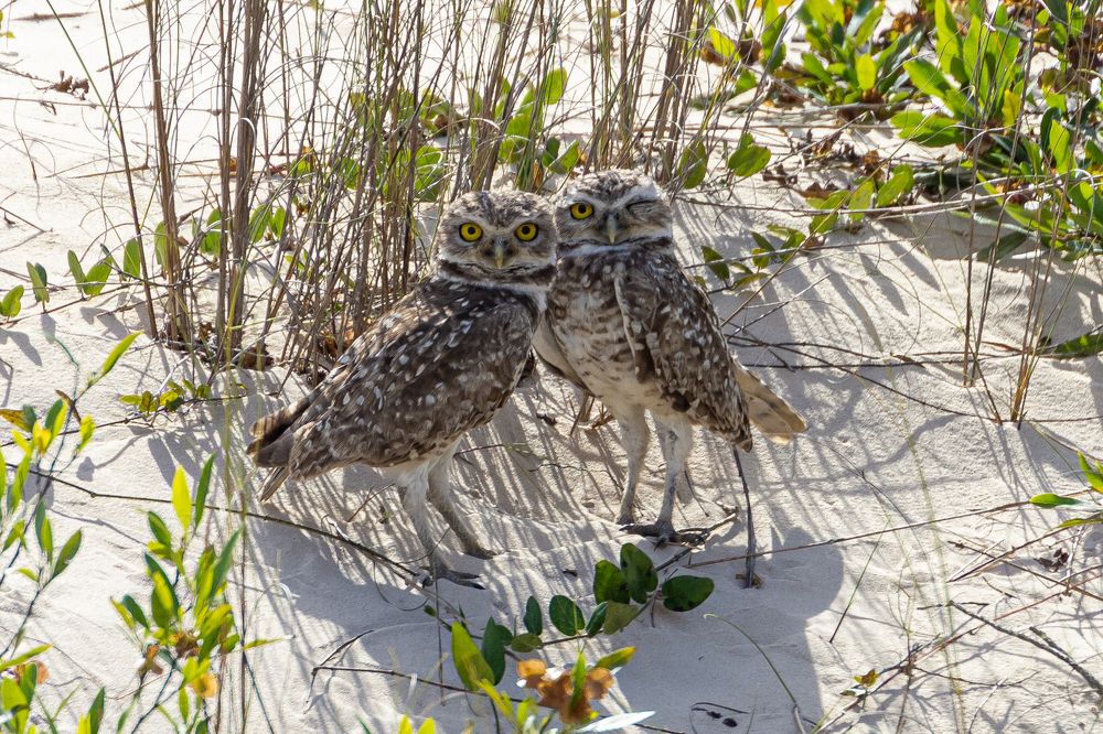 Photograph by ALEKSANDR SHAIKHTDENOV