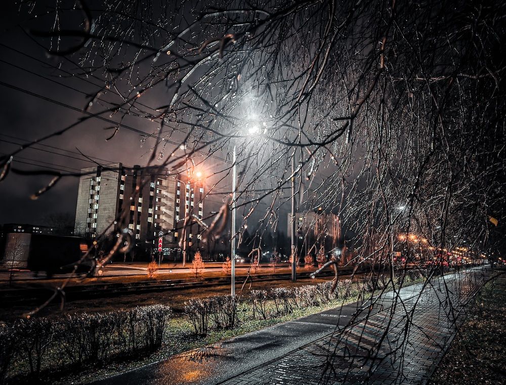 Photograph by Дарья Кривоножкина